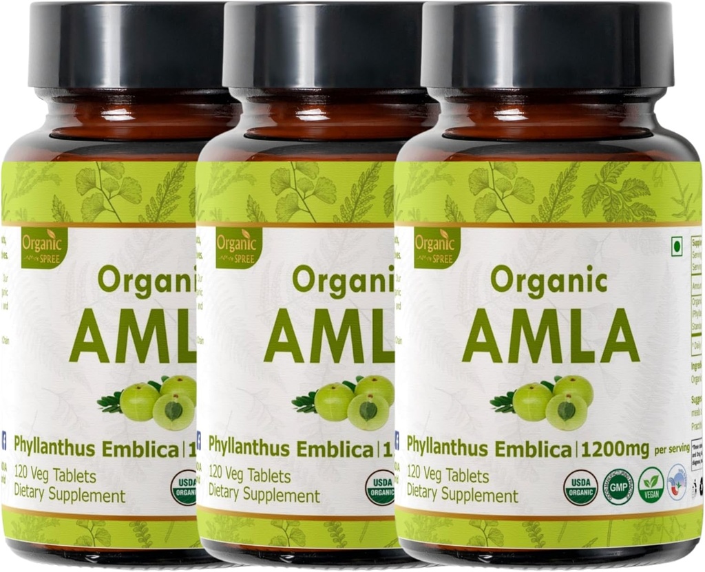 Comprimés Amla 120 – Gooseberry indien biologique USDA – Riche en vitamine C et soutient la santé immunitaire* - Pack de 3