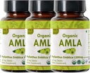 Comprimés Amla 120 – Gooseberry indien biologique USDA – Riche en vitamine C et soutient la santé immunitaire* - Pack de 3