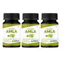 Comprimés Amla 120 – Gooseberry indien biologique USDA – Riche en vitamine C et soutient la santé immunitaire* - Pack de 3