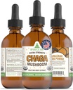 RawGuru Chaga Mushroom Supplement - Vegan Chaga Mushroom Extract with Trace Minerals - Nano-Processed Immunity Boost & Cognitive Supplement Tincture - 60 Servings of Vegan Drops per 60 ml, Pack of 1