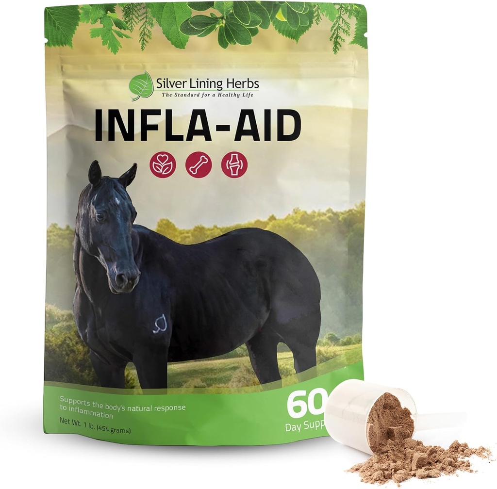 Herbes argentées Infla-Aid pour chevaux – Supplément naturel anti-inflammatoire pour le soulagement de l'inflammation – Soutient la récupération, le confort et la mobilité dans les muscles, les tendons et les articulations – Sac de 1 lb (60 portions)