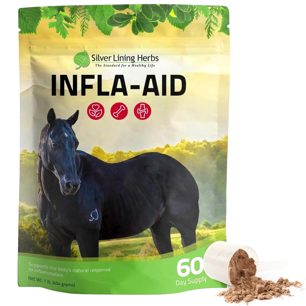 Herbes argentées Infla-Aid pour chevaux – Supplément naturel anti-inflammatoire pour le soulagement de l'inflammation – Soutient la récupération, le confort et la mobilité dans les muscles, les tendons et les articulations – Sac de 1 lb (60 portions)