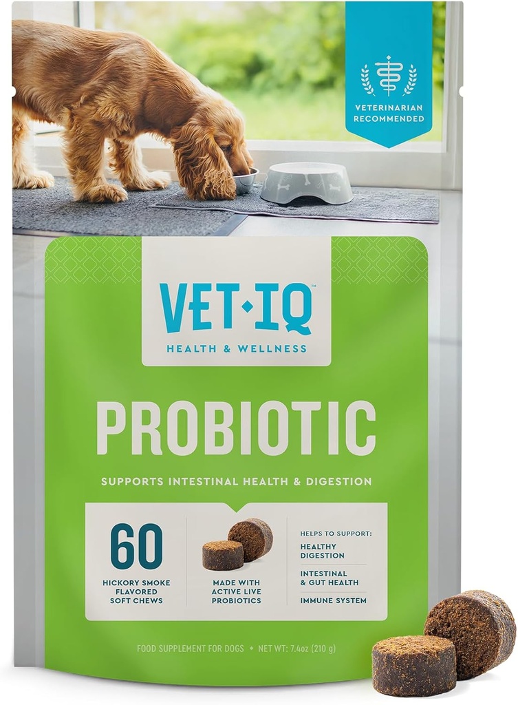 VetIQ Probiotic Supplement pour chiens, support digestif pour chiens, nourishes Bacteria Gut et soutient la fonction Bowel, parfum de fumée Hickory, fabriqué aux États-Unis, 60 comtes