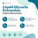 NerveFactor - Supplément de support avancé Nerve - Livraison liquide pour une meilleure absorption - Acétyl-L-Carnitine, acide alpha lipoïque, vitamine B12, acide folique, saule blanche et plus encore!