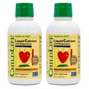 Supplément Calcium liquide pour enfants - Baby Calcium avec Magnésium, Zinc et Vitamine D3 - Arôme Orange, 16 fl oz (2 Pack)