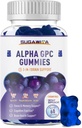 Alpha GPC Choline Gummies 600mg avec Phosphatidylsérine & Bacopa – 3-en-1 Soutien du cerveau pour la mémoire, le focus et la santé cognitive à long terme – sans sucre, formule naturelle, 60 comte