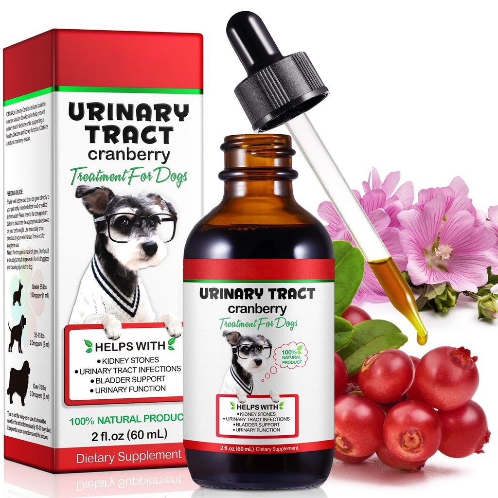 Tract urinaire pour chiens, gouttes de traitement de l'infection par le tract urinaire pour chiens soutient les UTI Bladder, la pierre de rein et le chien, aliments pour animaux de compagnie Soins de santé, Bacon Flavor- 60ml / 2,02oz