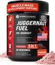 Juggernaut Fuel Preworkout. 30 Serviettes. Sans sucre, sans édulcorants artificiels, formule sans créatine avec bêta-alanine pour l'énergie et l'hydratation. Fabriqué aux États-Unis.