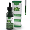 Chlorophylle gouttes liquides - 100% énergie naturelle Booster et soutien immunitaire - Déodorant interne et detox - Altitude de soulagement de la maladie - Absorption rapide, végétalien et non-OGM - 120 portions (paquet de 1)