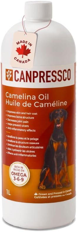 Huile de camelina 500 ml Bouteille de l'Oméga 3 Supplément d'huile pour la santé de l'équine, de la canine et de la féline, du manteau et de la peau