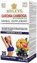 HYLEYS Thé Garcinia Cambogia Thé vert avec baie d'açai - 25 sachets à thé (12 Pack - 300 sachets à thé Total)
