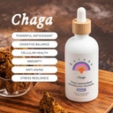Rainbo - Teinture de champignons Chaga - Sans alcool - Supplément de champignons à double extrait - Support immunitaire, Support cellulaire, Supplément de Chaga liquide, Vegan, Non OGM, 3,4 fl oz