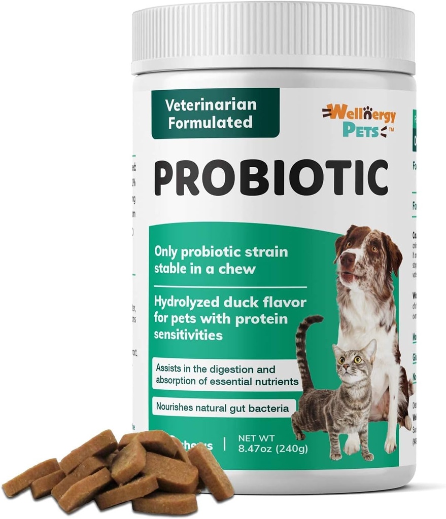 Wellnergy Daily Probiotics & Prebiotics Soft Chew for Dogs & Cats - Soutien digestif pour la diarrhée, la constipation, l'estomac, l'indigestion et le gaz - Aide la digestion, la peau allergique et la santé immunitaire 160ct