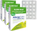 Boiron AllergyCalm Comprimés 180 Compte, soulagement des allergies et de la fièvre du foin Symptômes d'éternuement, de nez runny, d'yeux démangeaisons ou de gorge, d'allergy calm Tabs (anciennement RhinAllergy) (paquet de 3 boîtes 60ct)