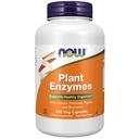 MAINTENANT compléments alimentaires, enzymes végétales avec lactase, protéase, papaine et bromelain, 240 gélules
