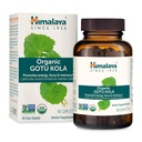 Himalaya Gotu Kola biologique, 45 jours d'approvisionnement - supplément nootrope à base de plantes avec des adaptogènes pour l'énergie, le focus, la mémoire et la relaxation calmante - végétalien, non-OGM, sans gluten, 650 mg, 90 capsules