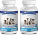 Supplément urinaire pour chien - SOUTIEN AUX TRACTS URINAIRES DOG - SOLUTION DE CRANBERRY NATUREL - SANTE GRANDE - VETEMENT RECOMMANDÉ - soins instinctifs pour chien canneberge - 2 bouteilles (180 traitements)