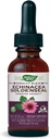 Nature's Way Formule Premium Echinacea-Goldenseal, 250 mg par portion, 99,9% Sans alcool, 1,01 Oz.