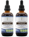 Secrets de la tribu Chaga Tecture Extrait sans alcool, Chaga sauvage (Inonotus obliquus) Champignon entier séché (2x4 FL OZ)