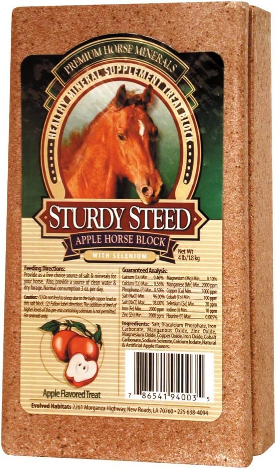 Sturdy Steed supplément minéral sain Apple Treat Bloc pour chevaux, 4 livres