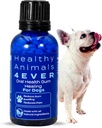 HA4E - Supplément santé buccodentaire pour chiens - Soulage l'inflammation, apaise la douleur et lutte contre la maladie de la gencive - naturel, non OGM, organique, sans gluten et sans produit chimique - 300 Comprimés