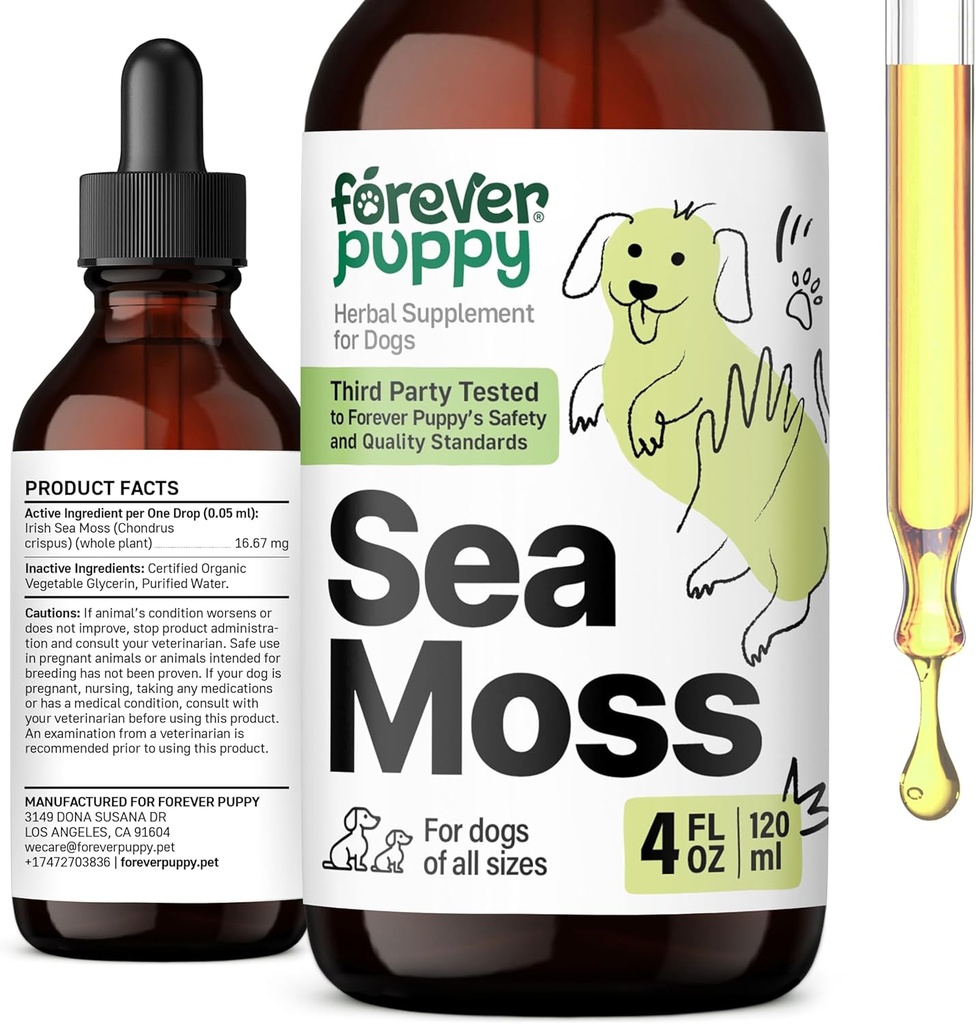 Pour toujours Puppy Irish Sea Moss Drops for Dogs - Thyroïde & Energy Support for All Breeds & Sizes - Suppléments alimentaires pour chiens avec extrait de liquid Seamoss - Vitamines et suppléments - Sucre et sans alcool -4 oz