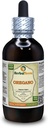 Origan (Origanum Vulgare) Teinture, Feuilles séchées organiques Extrait liquide (Marque: HerbalTerra, Fièrement fabriqué aux États-Unis) 4 fl.oz (120 ml)