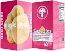 Magic DozeTM Lion. Capsules de champignons de la Mane – 100% Corps Fruit pour la Focus, la Mémoire et la Santé du cerveau – 500mg par Capsule, 60 Capsules Vegan