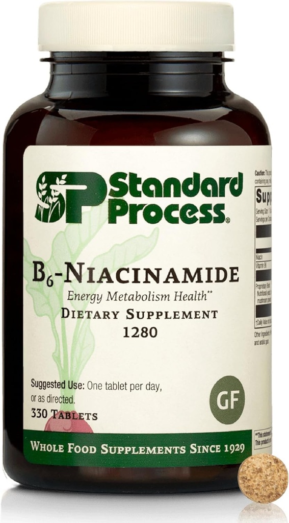 Procédé standard B6-Niacinamide - Énergie de soutien Métabolisme et santé cardiaque - Aides Systèmes de digestion et de circulation sanguine - Sans gluten, sans lait et sans soie - 90 comprimés (90 portions)