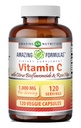Formules étonnantes Vitamine C (Acide ascorbique) 1000 Mg avec Rose HIPS & Citrus Bioflavonoïdes.