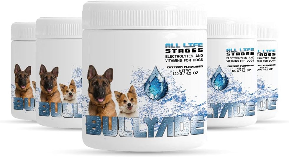Natural Dog Supplement with 18 Vitamins, Minerals & Electrolytes. Mixes with Water or Food. (Chicken 5 Pack)