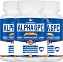 Supplément 15-en-1 Alpha GPC avec Phosphatidylsérine, Uridine, L-Theanine, Lion's Mane Mushroom, 180 Capsules