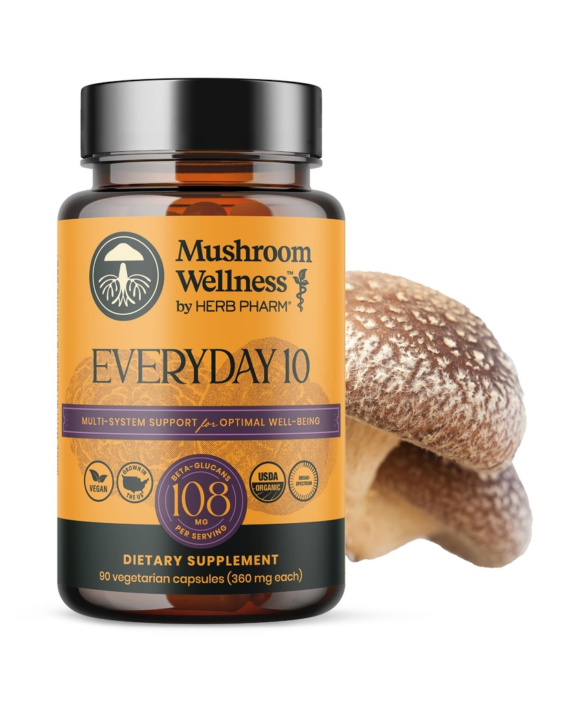 Bien-être des champignons Tous les jours 10: Capsules de champignons biologiques de 10-en-1 avec la Mane de Lion, Shiitake, Reishi, Turquie Queue et plus, Supplément de poudre de champignons, Système immunitaire et nerveux, 90 Capsules Vegan