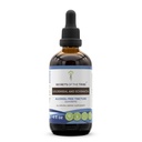 Secrets of the Tribe Goldenseal and Echinacea Alcohol-Free Liquid Extract, Herbs (Echinacea Root (Echinacea Purpurea), Goldenseal Root (Hydrastis Canadensis)) Tincture Supplement (4 FL OZ)
