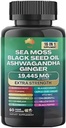 Muse Sea Moss, Black Seed Oil, Ashwagandha, Ginger, Shilajit, Elderberry, Chlorophylle, Turmeric, Bladderwrack, Gommies de force avancées, 19,445mg, All-in-1 Bundle, 60 Compte, Fabriqué aux États-Unis