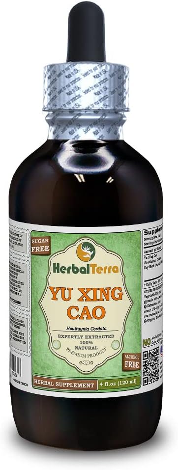 Yu Xing Cao (Houttuynia Cordata) Glycérite, extrait liquide sans alcool à base de plantes séchées (marque: HerbalTerra, fièrement fabriqué aux États-Unis) 4 fl.oz (120 ml)