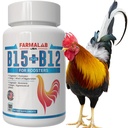 Farmalab B12 B15 pour Roosters B15 B12 para Gallos 100 Comprimés