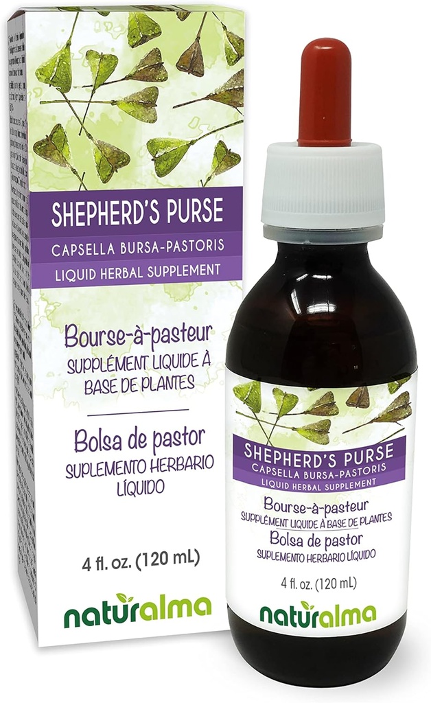 Naturalma Shepherd's Purse (Capsella Bursa-pastoris) herbe Teinture sans alcool - 4 fl oz extrait liquide dans les gouttes - supplément à base de plantes - végétalien