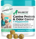 Probiotiques de races équilibrées Enzymes de santé digestives fabriqués aux États-Unis Fortiflora Probiotiques approuvés Chiens Suppléments anti-levure Constipation Relief Dog Yeast Itchy Peau Itchy Oreilles Non-OGM