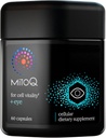 MitoQ +Eye Advanced CoQ10 Antioxydant - Contient Mitoquinol Mésylate, Lutéine, Zeaxanthin, Bilberry, Maritime Pine Bark - Soutient la santé des yeux, la filtration de lumière bleue et la vitalité cellulaire (60 capsules)