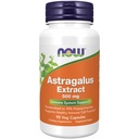 MAINTENANT Aliments suppléments de soutien immunitaire, Astragalus Extract 500 mg (standardisé à 70% polysaccharides), 90 Capsules de Veg