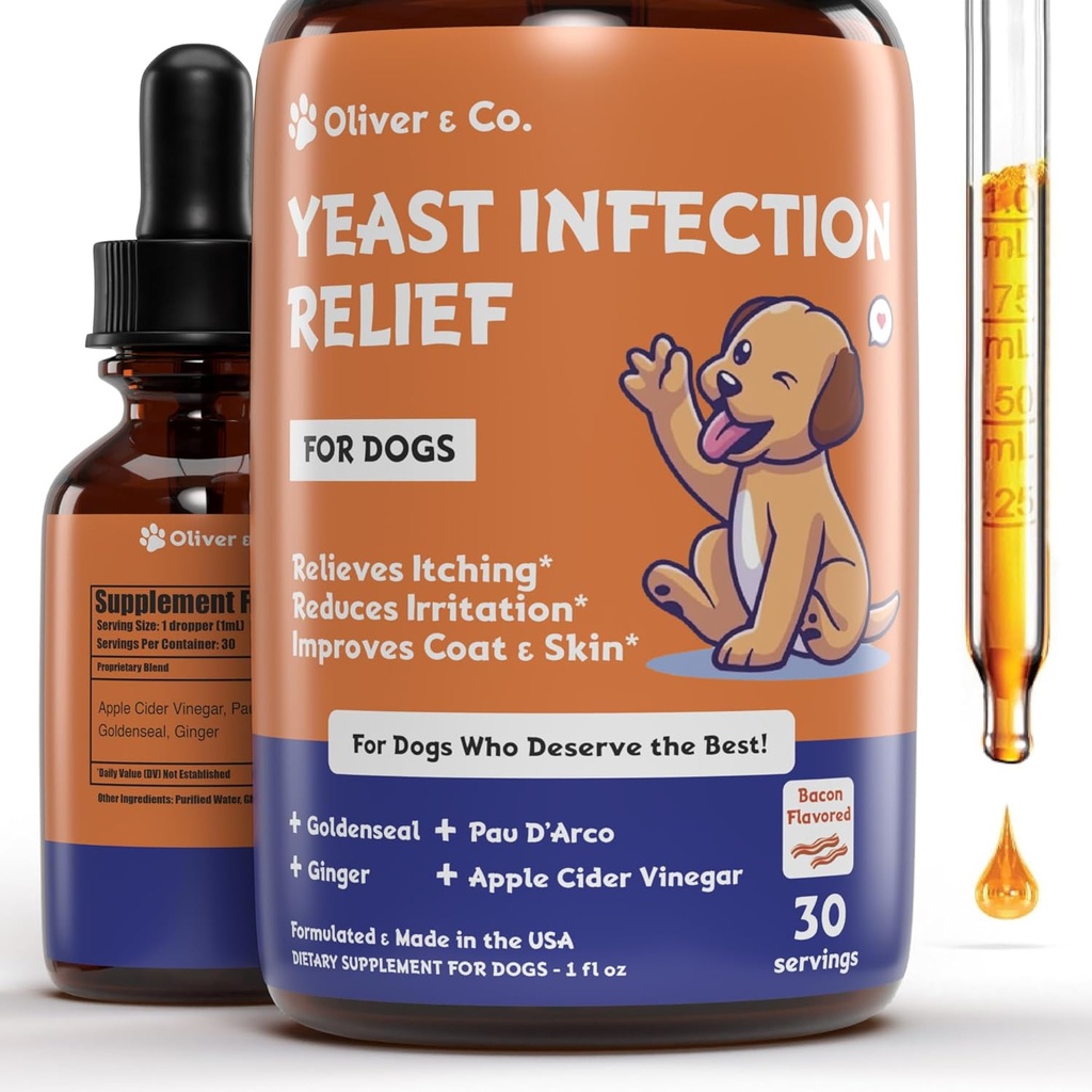 Traitement de l'infection des levures naturelles pour chiens