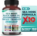Sea Moss Black Seed Oil Ashwagandha Ginger Burdock Bladderwrack - Soutien immunitaire - Fabriqué aux États-Unis