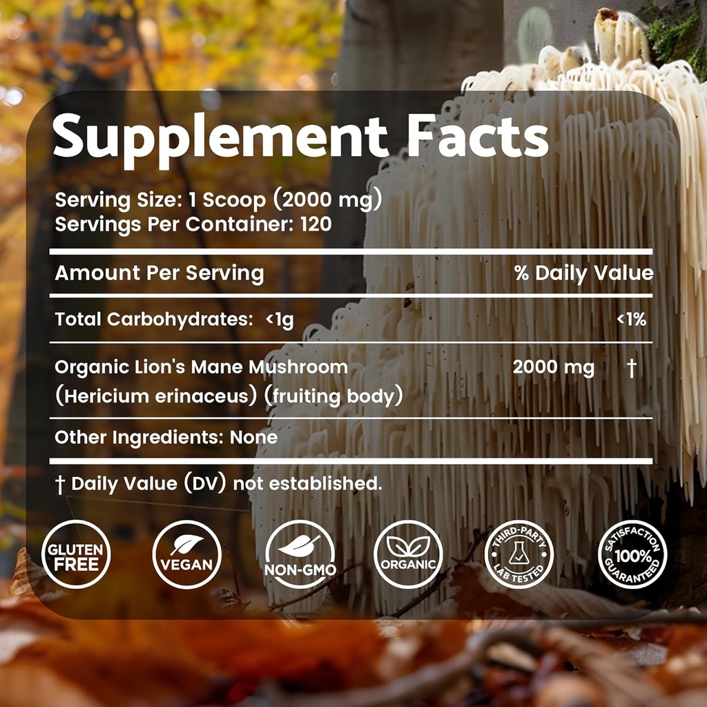 WELLNESS LABSRX Lions en poudre de la Mane, supplément de champignons - 2000mg - Lions en supplément de la Mane - Lions en poudre de champignons suppléments de cerveau pour la mémoire et la concentration, le soutien immunitaire et la santé - 120 services