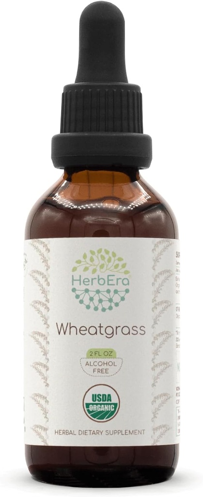HerbEra Wheatgrass B60 USDA Teinture biologique (Triticum aestivum) Extrait sans alcool, gouttes d'herbes à haute puissance, supplément liquide