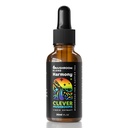 6 Mélanger Extrait liquide de champignons, US Champignons cultivés Sans alcool, Énergie naturelle, Soutien cognitif, Immunity Boost, 100% Fruit Bodys, Lion's Mane, Cordyceps, Reishi, Chaga, Turquie Tail (1 fl oz)