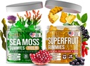 Gommies de mousse de mer et de surfruit irlandais - Gommies multivitamines de fruits et de mousse de mer pour adultes, enfants - Superfruits, mousse de mer irlandaise Bladderwrack Root - 60 Superfruits, 60 Gummes de mousse de mer irlandaise