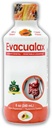 Laxatif liquide de Senna pour adultes et enfants - Papaya Flavor, Feuille naturelle de Senna & Prune - Adoucisseur de tabouret pour le soulagement de la constipation - Sirop à base de plantes pour le soutien de l'intestin, nettoyage digestif - 8oz