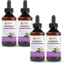 Extrait de fleur de passion Maxx Herb - Max Strength Passion-Flower Absorbs liquides mieux que les capsules, pour la relaxation et le soulagement du stress, sans alcool - 4 bouteilles, 4 oz chacune (240 portions)