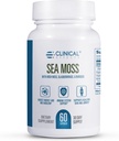 Effets cliniques Museau de mer - Capsules de mousse de mer avec Bladderwrack, racine de Burdock et biopérine pour la thyroïde, la santé cardiaque, la gestion du poids et le soutien énergétique - 60ct - Fabriqué aux États-Unis
